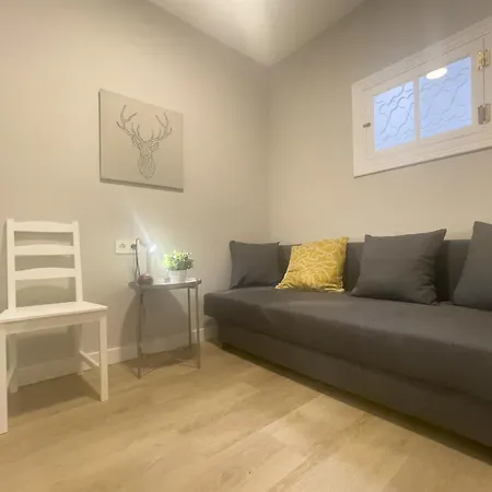 1a107 Magnifico Apartamento En El Centro Gijon